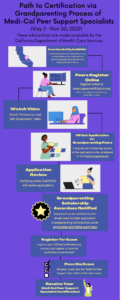 Purple infographic depicting 10 point process for grandparenting process