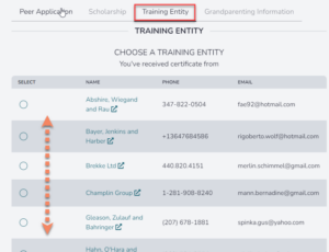 Training Provider Tab on Application portal showing radio buttons next to each provider to select