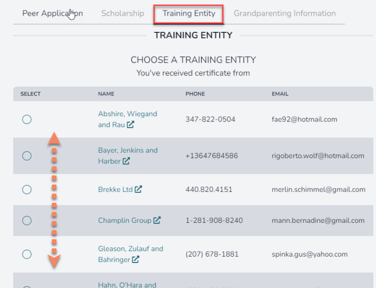 Training Provider Tab on Application portal showing radio buttons next to each provider to select