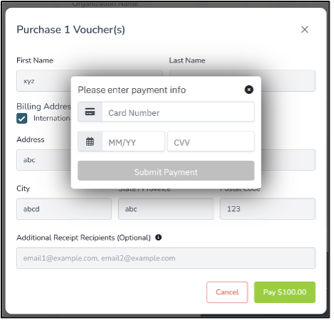 a screenshot of the payment section for purchasing prepaid codes.